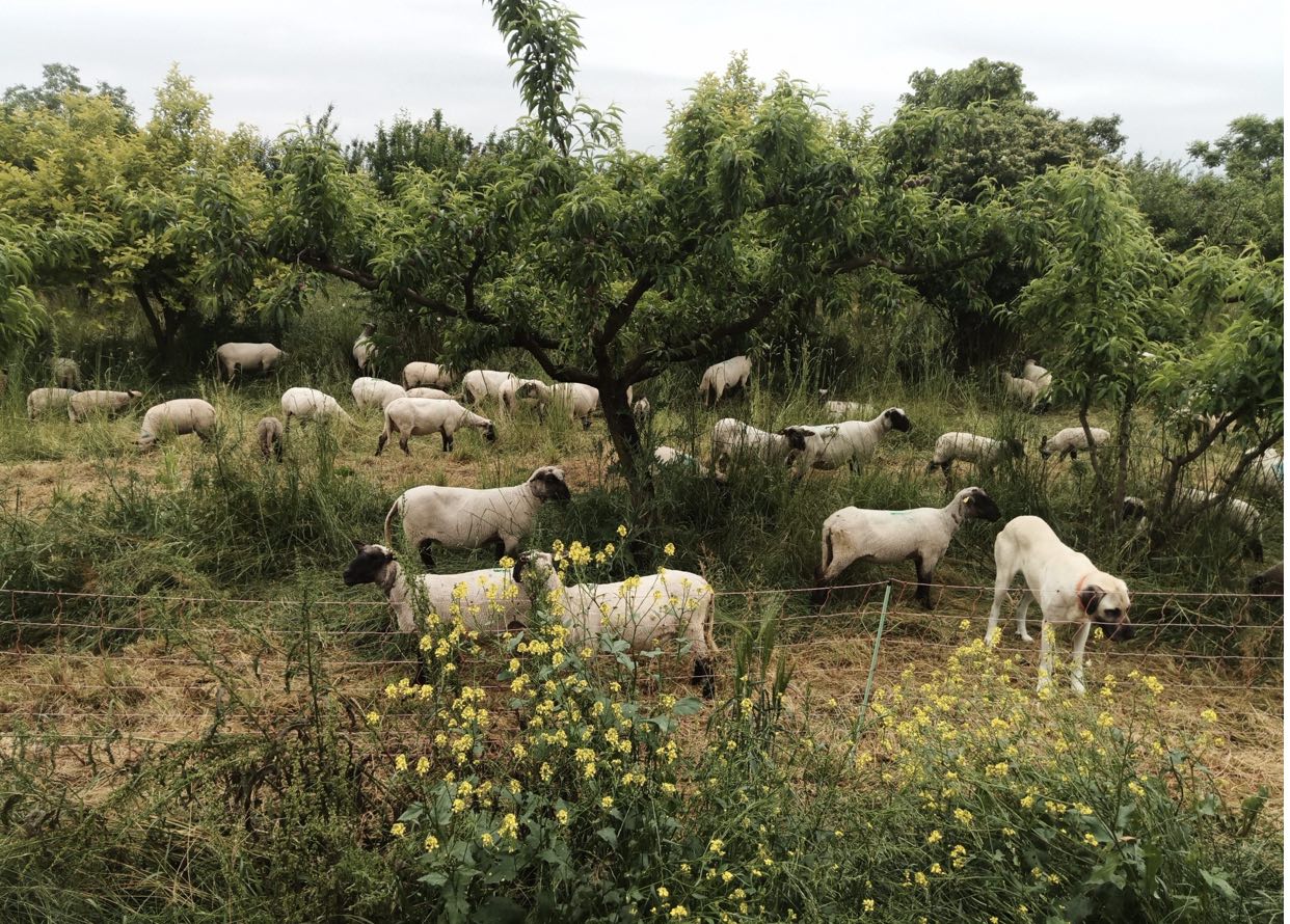 La ferme du Grand Laval